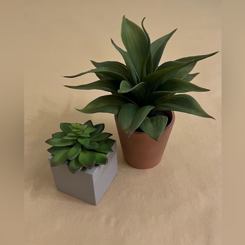 Faux Succulent Plant Set